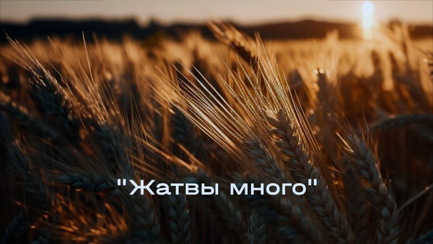 Миссионерская конференция «Жатвы много»